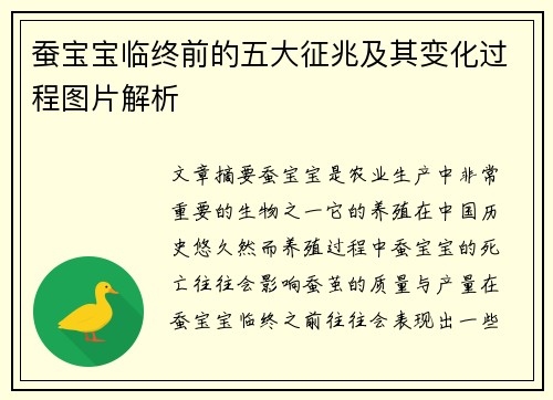 蚕宝宝临终前的五大征兆及其变化过程图片解析